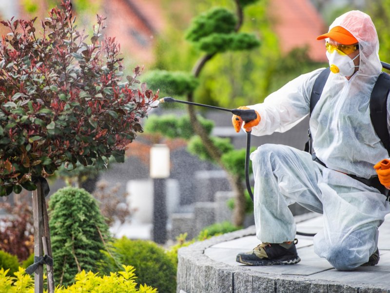 İzkent Haşere İlaçlama